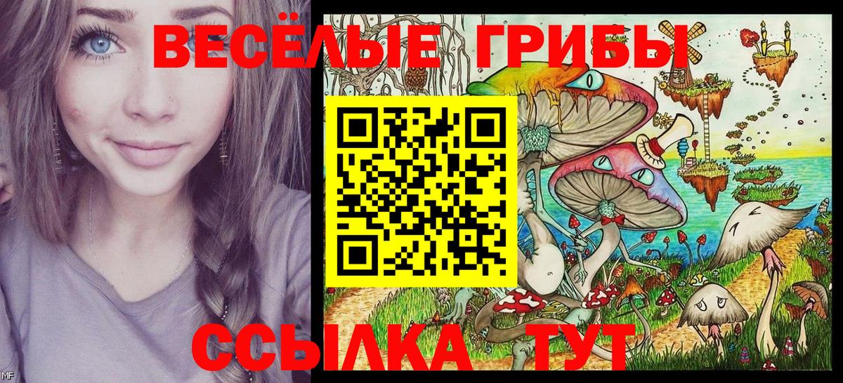 Гай  закладки  Псилоцибиновые грибы GOLDEN TEACHER  Вход с VPN  Псилоцибиновые грибы Psilocybe 
